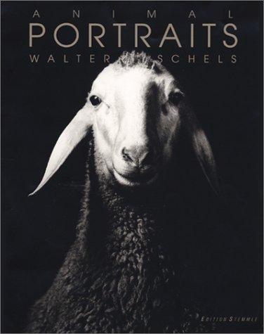 Animal portraits