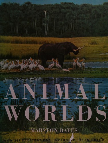 Animal worlds