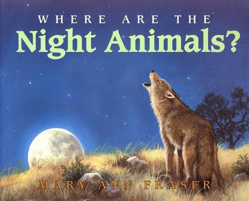 Where are the night animals?