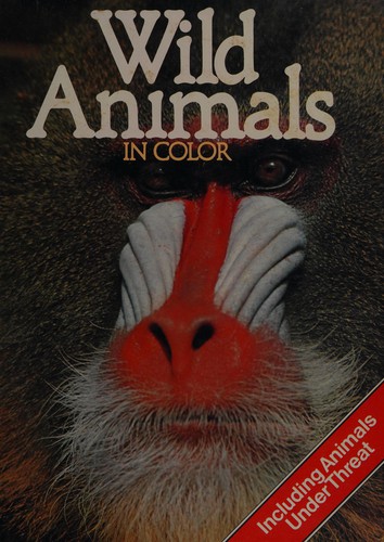 Wild Animals In Color