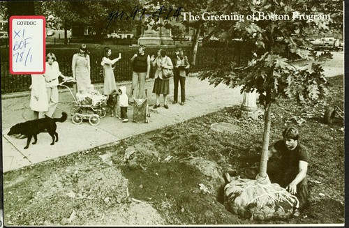 The greening of Boston program