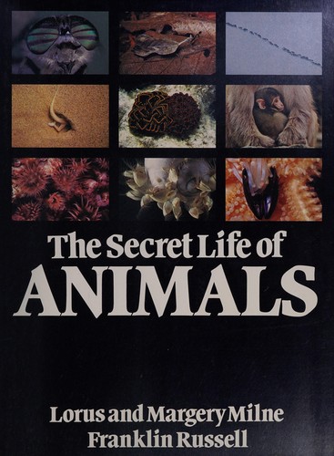 The secret life of animals