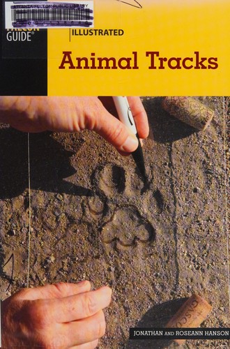Basic illustrated animal tracks