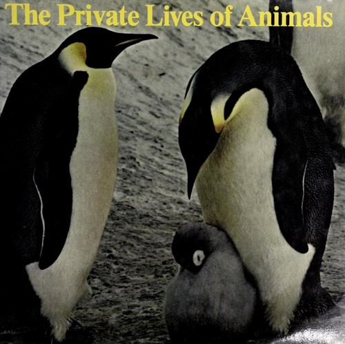 The private lives of animals