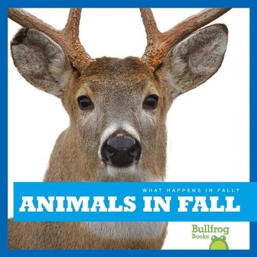 Animals in fall