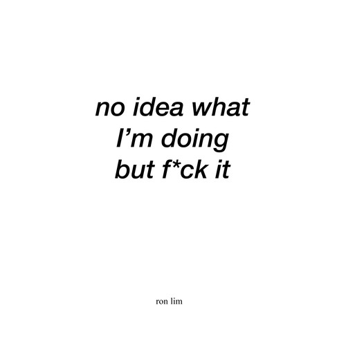 No Idea What I'm Doing but F*ck It