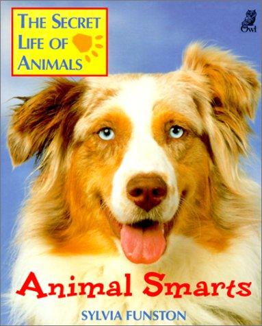 Animal Smarts (Secret Life of Animals)