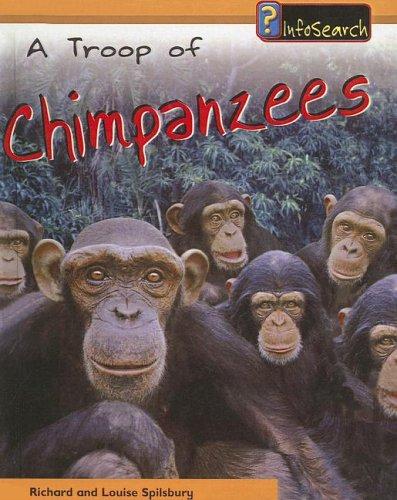 Troop of Chimpanzees (Animal Groups)