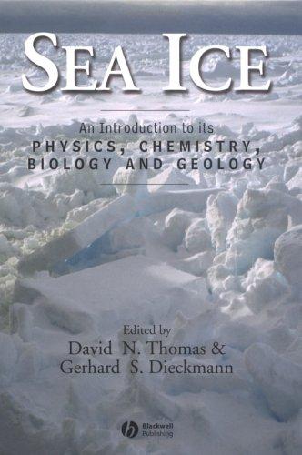 Sea ice
