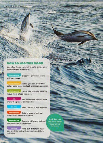 Animal Planet Animals on the Move (Animal Bites Series)