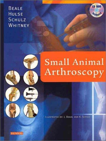 Small animal arthroscopy