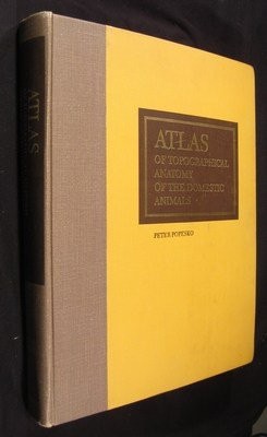 Atlas of topographical anatomy of the domestic animals
