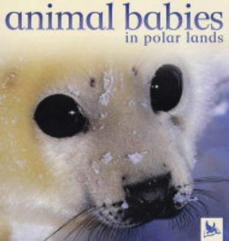 Animal babies in polar lands