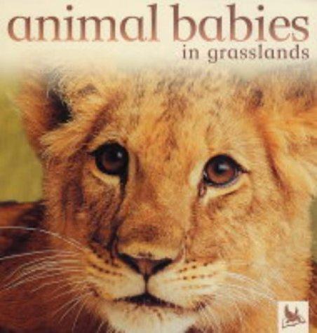 Animal Babies in Grasslands