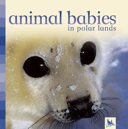 Animal Babies in Polar Lands (Animal Babies)