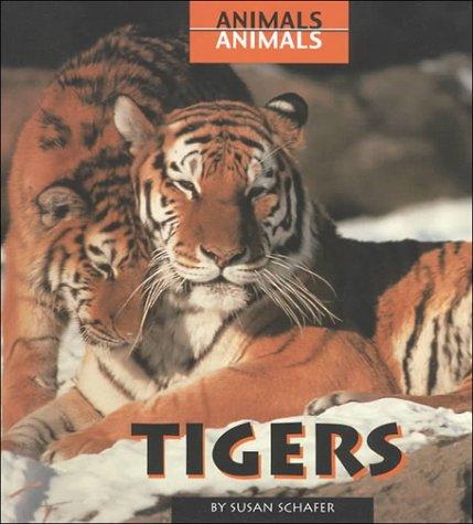 Tigers (Animals, Animal)