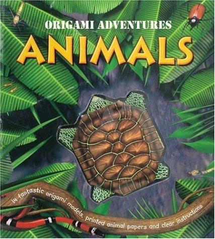 Origami Adventures