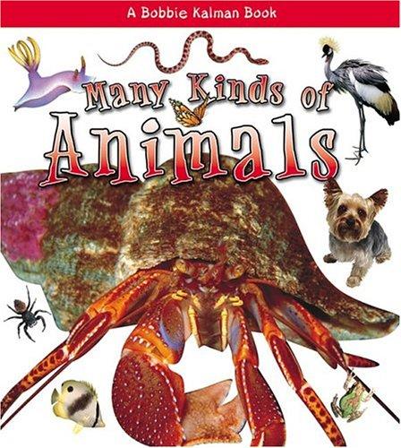 Many Kinds Of Animals (What Kind of Animal Is It?)