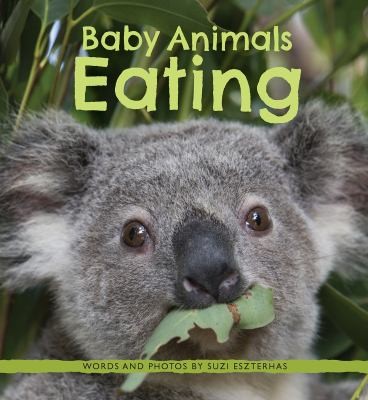 Baby animals eating