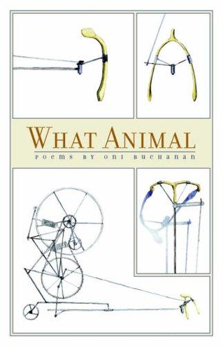 What animal