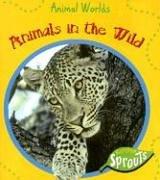 Animals In The Wild (Animal Worlds)