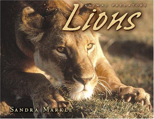 Lions (Animal Predators)