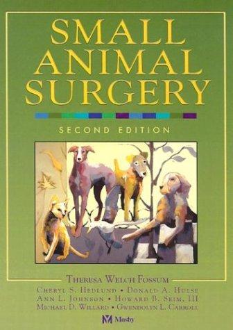 Small animal surgery