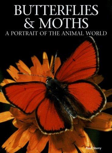Butterflies & moths