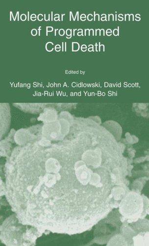 Molecular mechanisms of programmed cell death