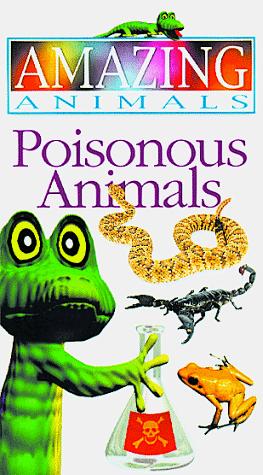 Amazing Animals Video