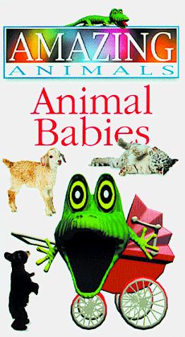 Animal Babies (Amazing Animals)