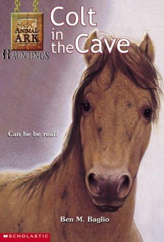 Colt in the Cave (Animal Ark Hauntings #4)