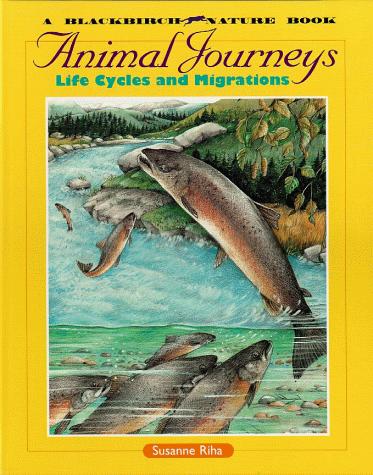 Animals in the Wild - Animal Journeys