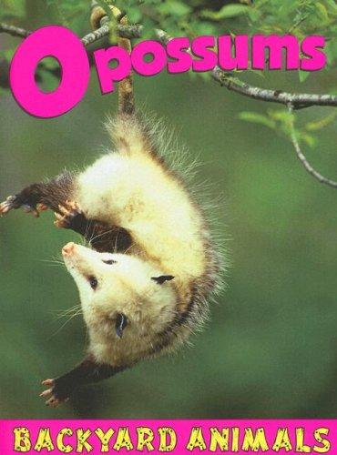 Opossums
