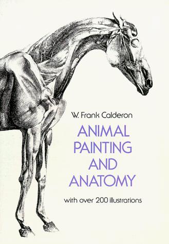 Animal painting & anatomy