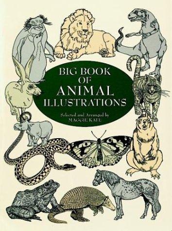 Big book of animal illustrations