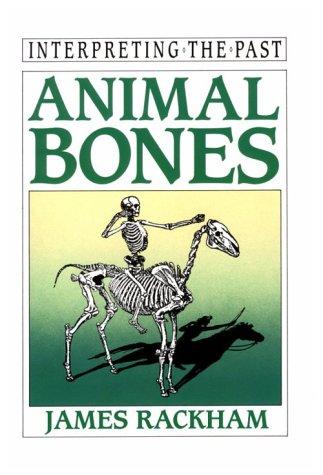 Animal bones