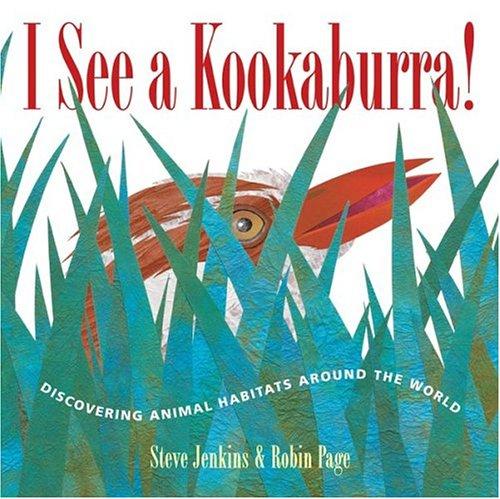 I see a kookaburra!