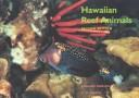 Hawaiian reef animals