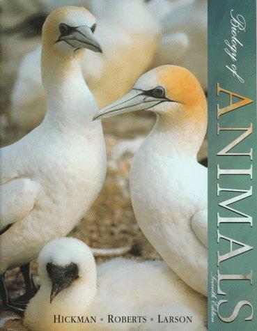 Biology of animals