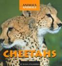 Cheetahs (Animals, Animals)