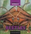 Beetles (Animals, Animals)