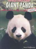 Giant Panda