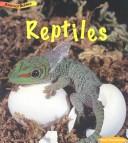 Reptiles (Animal Babies)