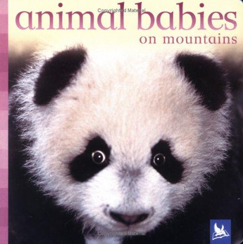 Animal Babies On Mountains (Animal Babies)