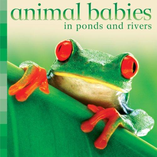 Animal Babies Ponds and Rivers (Animal Babies)