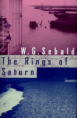 The rings of Saturn