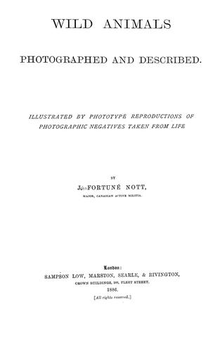 Wild animals photographed and described