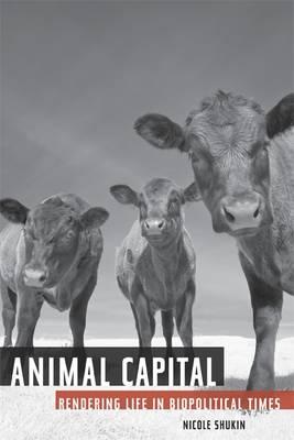 Animal capital