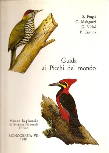 Guida ai picchi del mondo